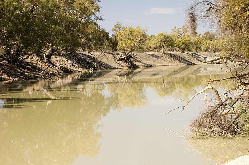 Banks of Darling 