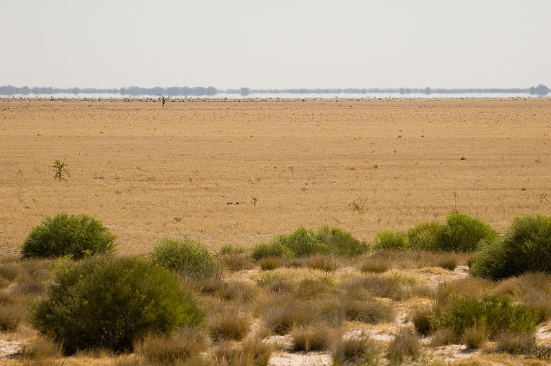 Menindee Lake 