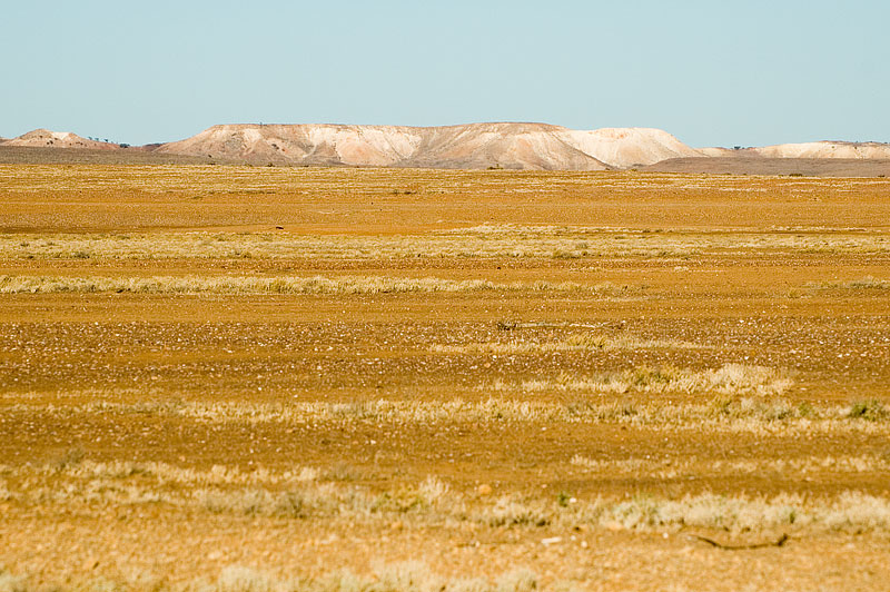 The Outback Landscape 