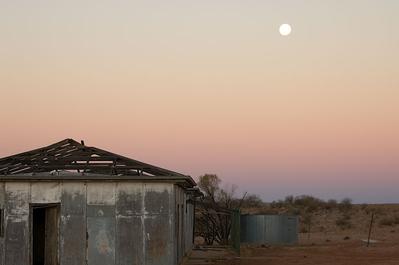 Corrugated Iron Shack 