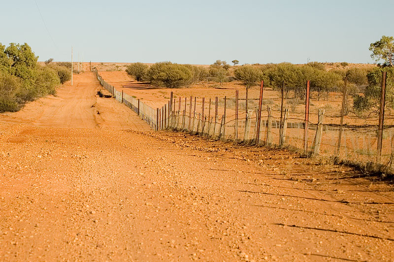 The Dingo Fence 