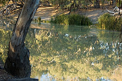 The Darling River
