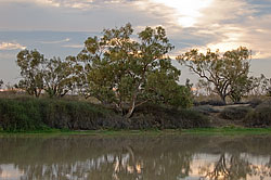 Cooper Creek