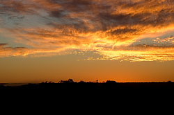 DSC_1036