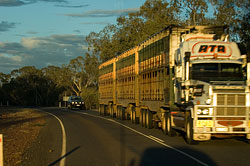 Roadtrain