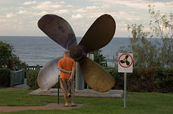 Cherry Venture Propeller