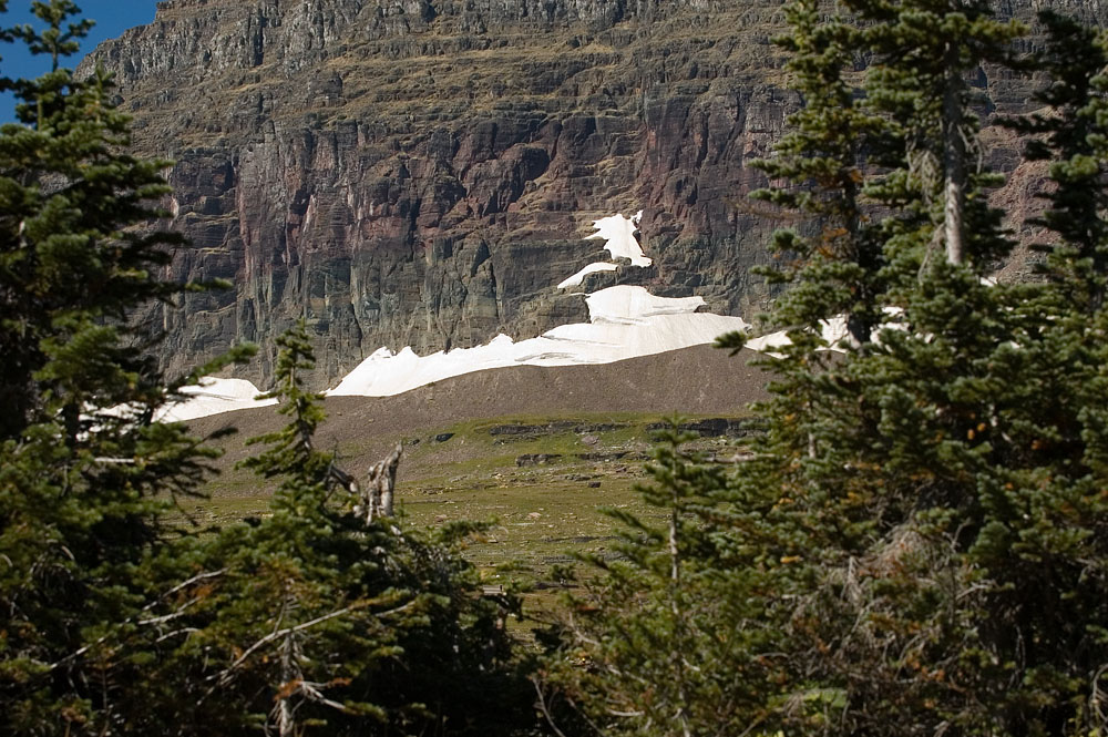 Snowfields at Glacier 
