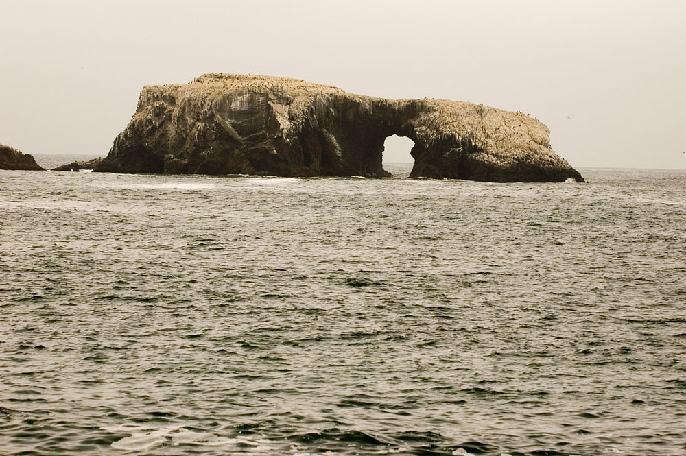 Arch Rock 