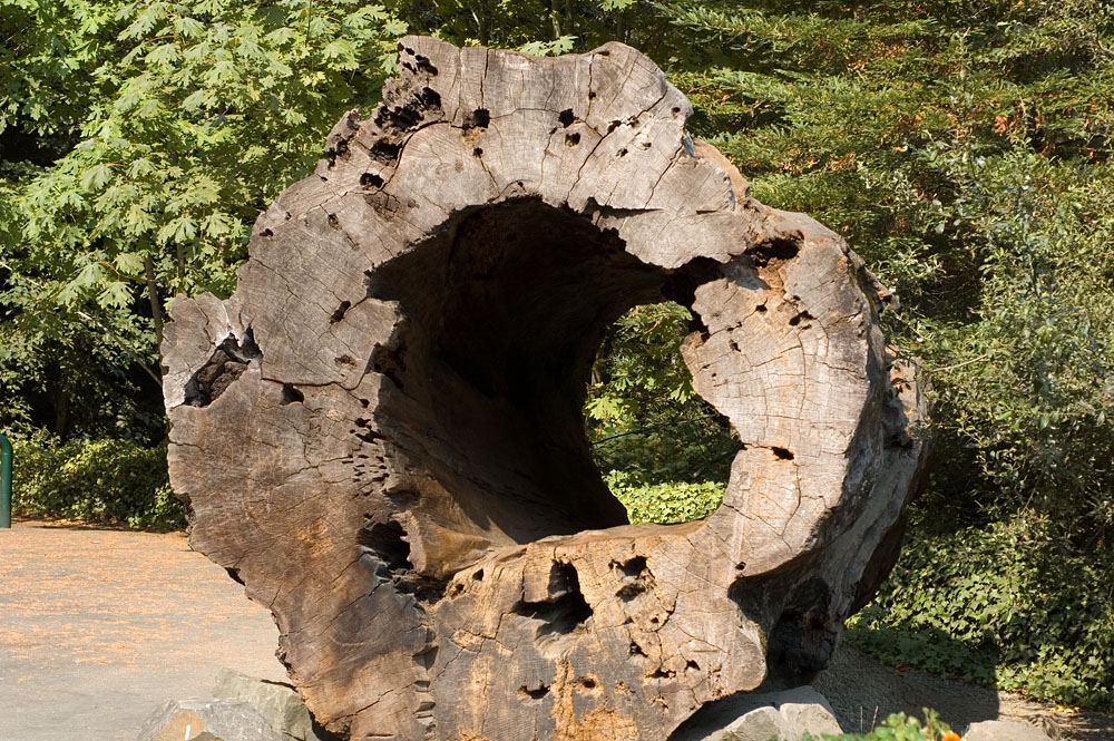 You Can Live Inside of this Thing 
